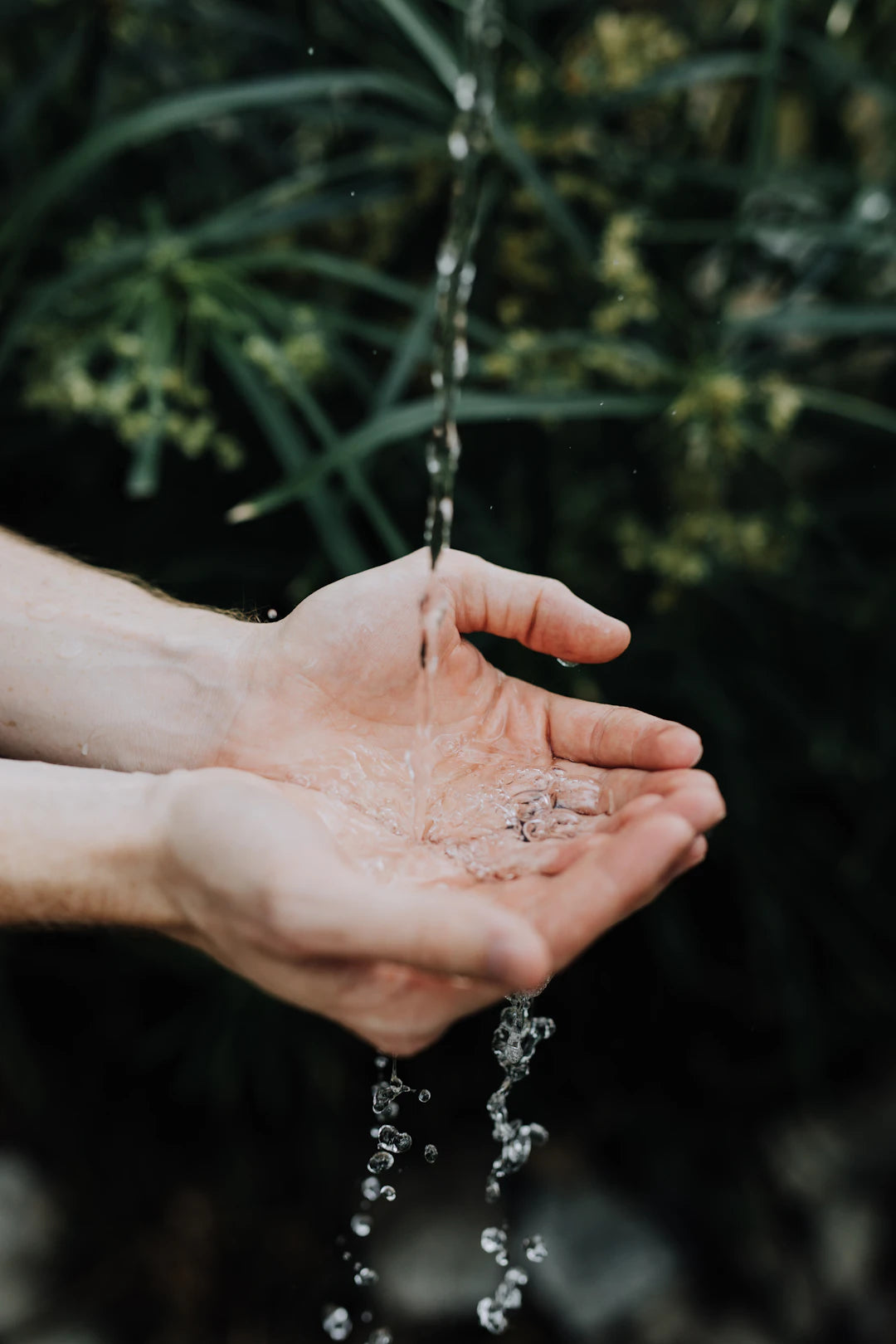 Enhance Your Cooking With Reverse Osmosis Water Quality