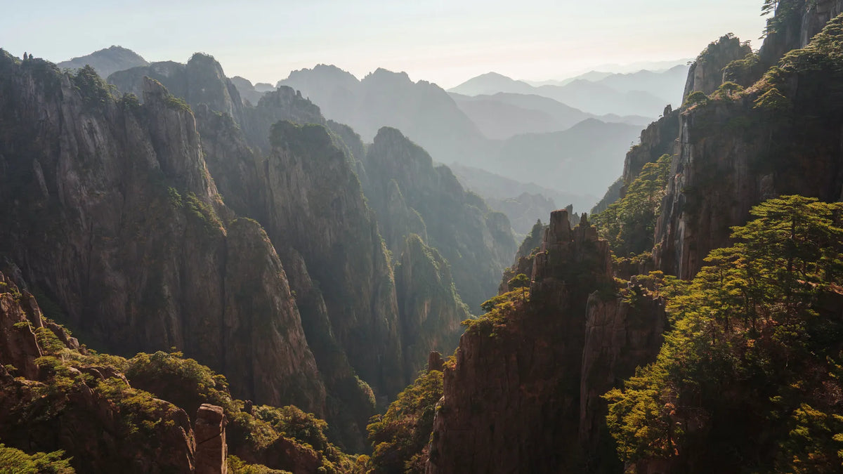 The granite peaks and pines of Huangshan