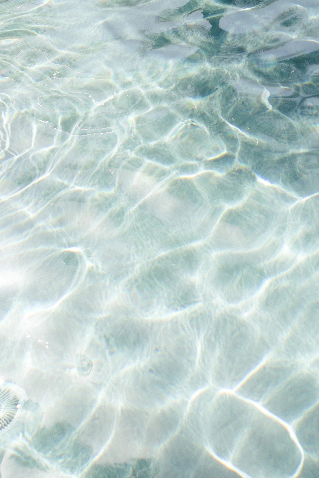 Cost-Efficiency: Reverse Osmosis vs Bottled Water - drinkrippl.com