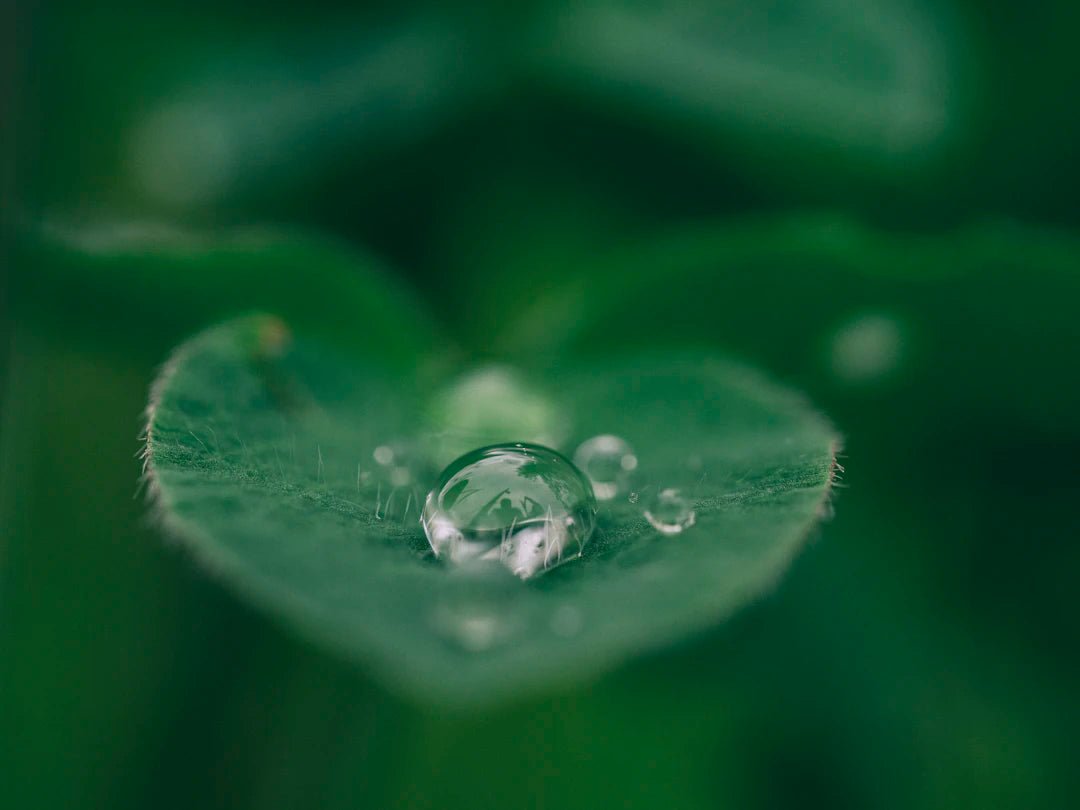 Filtered Water vs. Tap Water: What’s Best for You? - drinkrippl.com