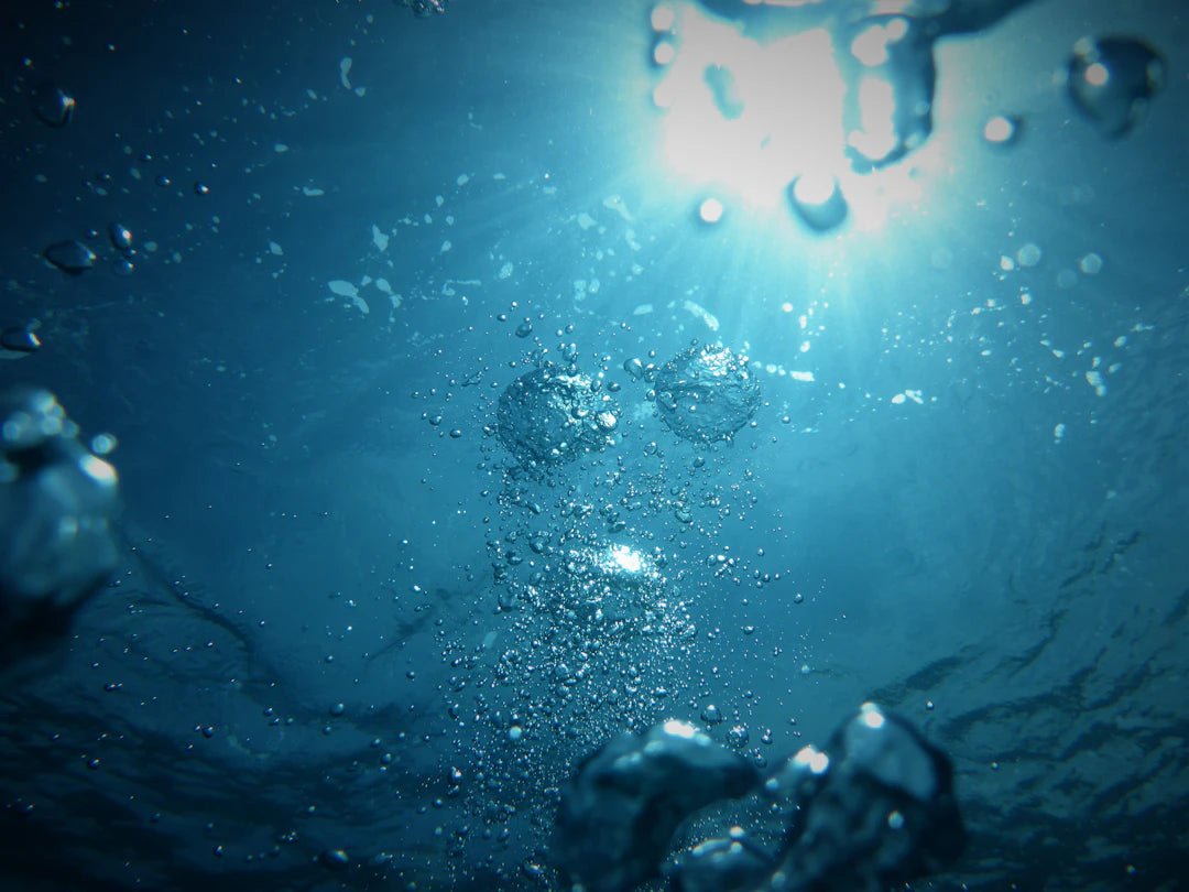 The Essential Role of Reverse Osmosis in Sustainable Living - drinkrippl.com