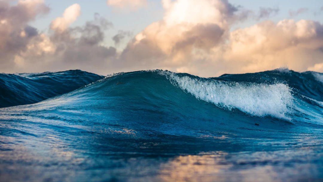 Transforming Tap: How Australia Turns Water into Purity - drinkrippl.com