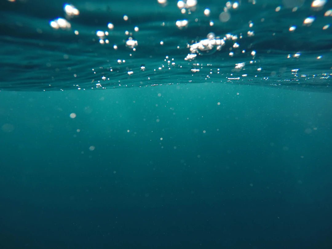 Ultimate Guide to Maintaining Your Reverse Osmosis System - drinkrippl.com