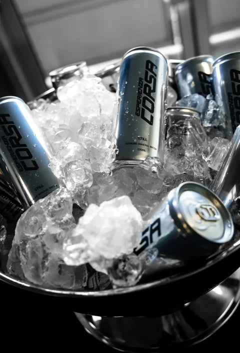 Lamborghini Esperienza Corsa cans on ice