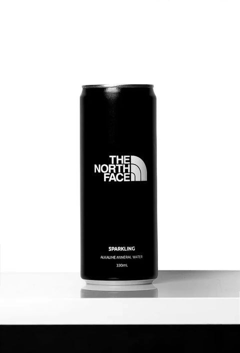 A The North Face can on a plinth